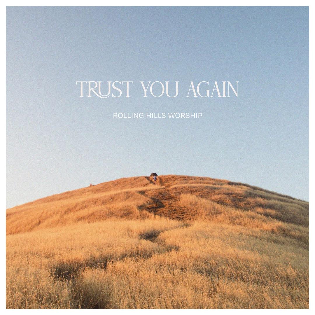 Trust You Again