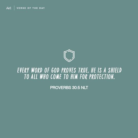 Every word of God proves true. He is a shield to all who come to Him for protection.