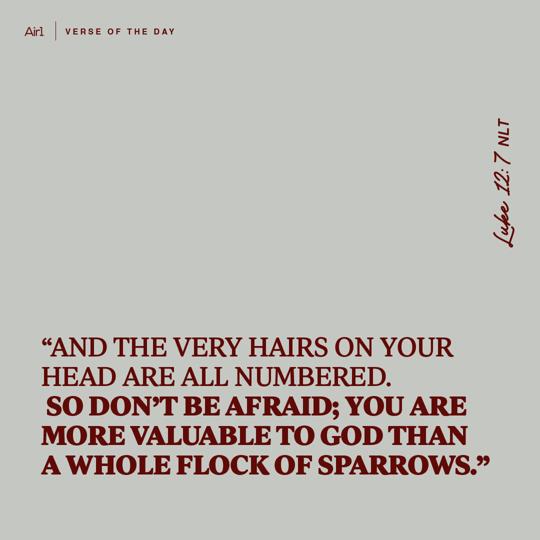 "And the very hairs on your head are all numbered. So don’t be afraid; you are more valuable to God than a whole flock of sparrows."