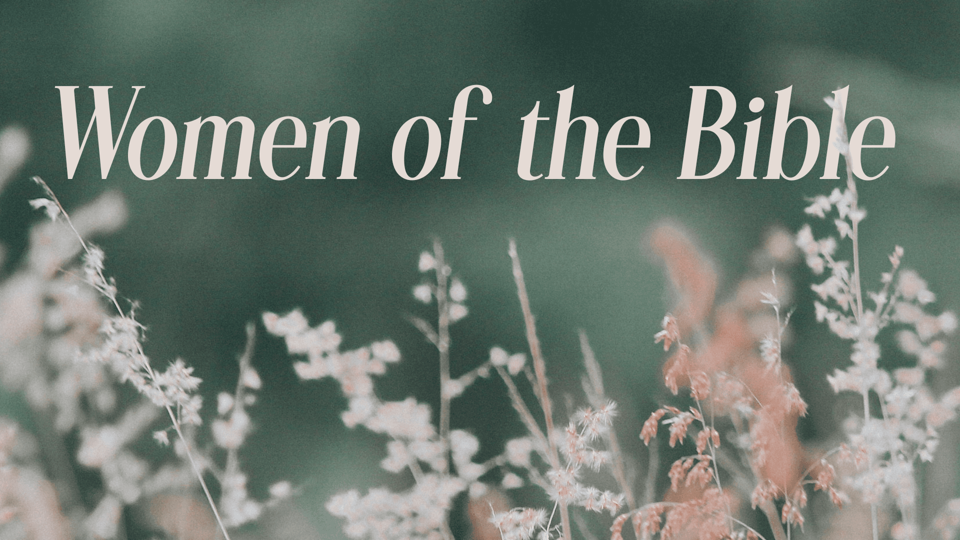 Women of the Bible Series Image