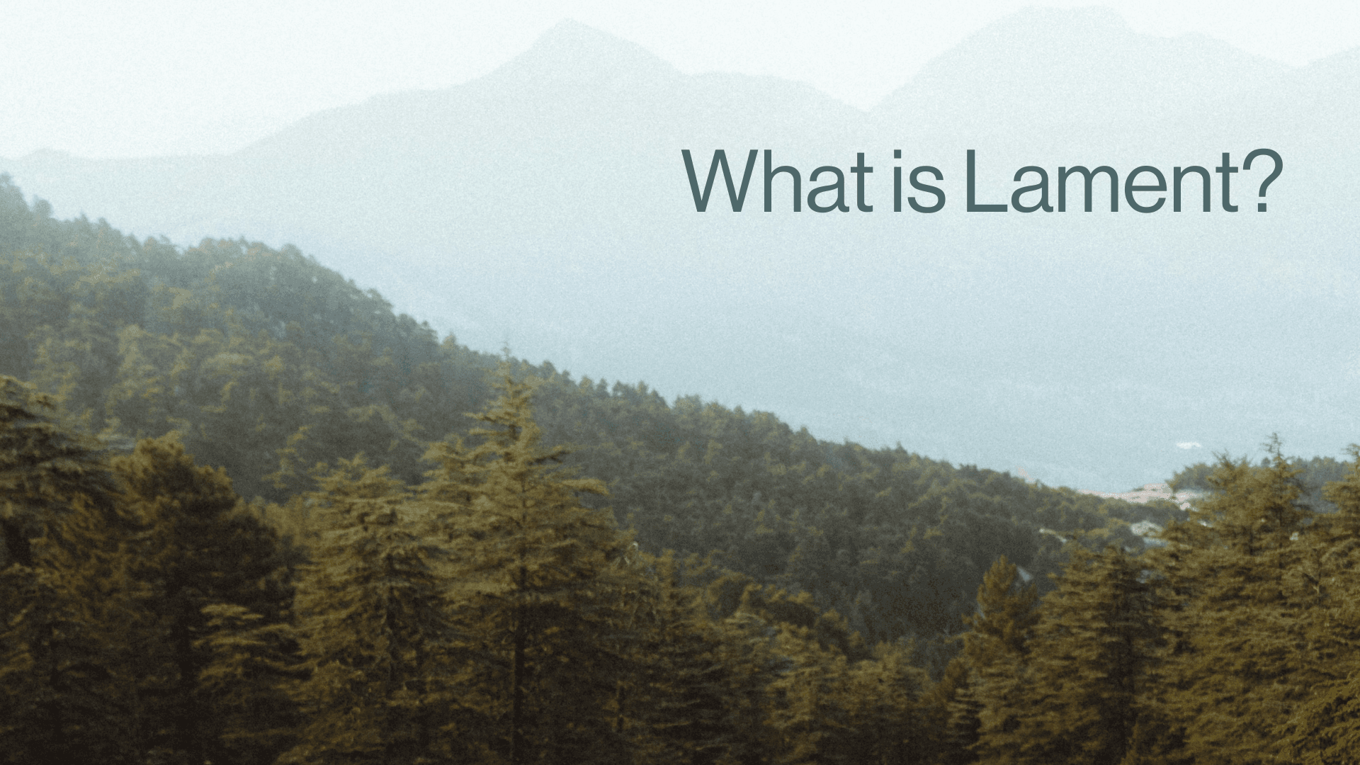 What is Lament Image